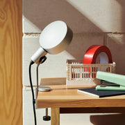 HAY Úložné boxy Colour Crate, Mini, 2 kusy, Mint - DESIGNSPOT