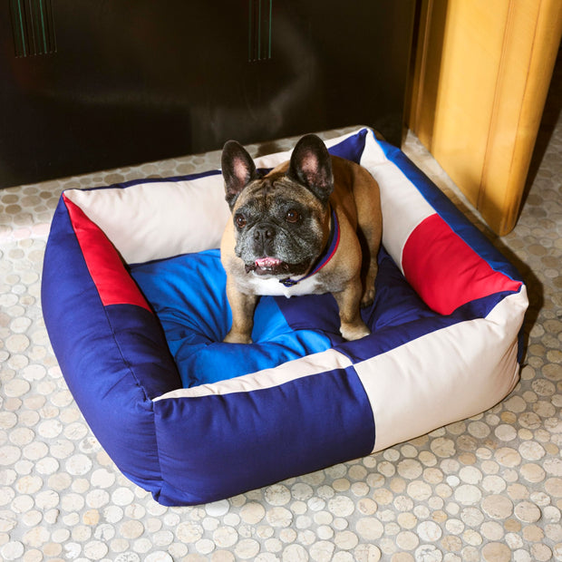 HAY Obojek Flat M/L, Red / Blue - DESIGNSPOT