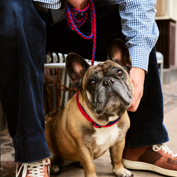 HAY Obojek Flat M/L, Red / Blue - DESIGNSPOT